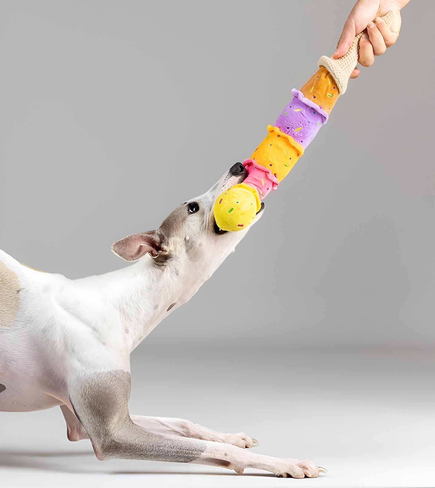 Ice Cream Plush Dog Toy – Colorful, Fun &amp; Long-Lasting Play!