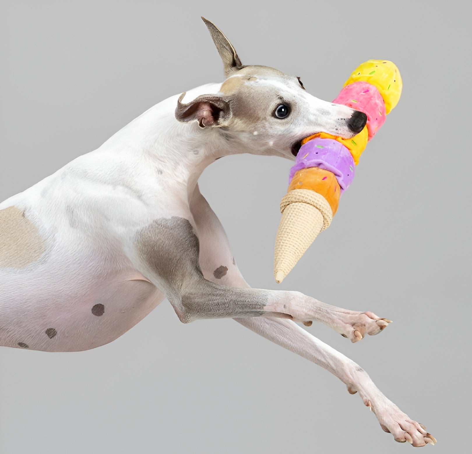 Ice Cream Plush Dog Toy – Colorful, Fun &amp; Long-Lasting Play!