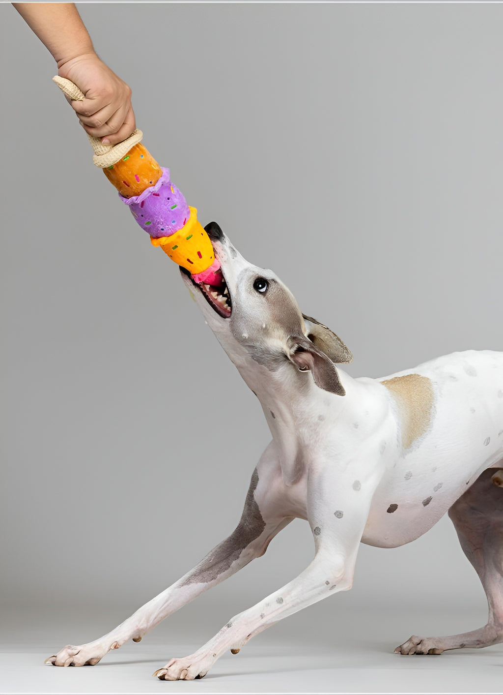 Ice Cream Plush Dog Toy – Colorful, Fun &amp; Long-Lasting Play!