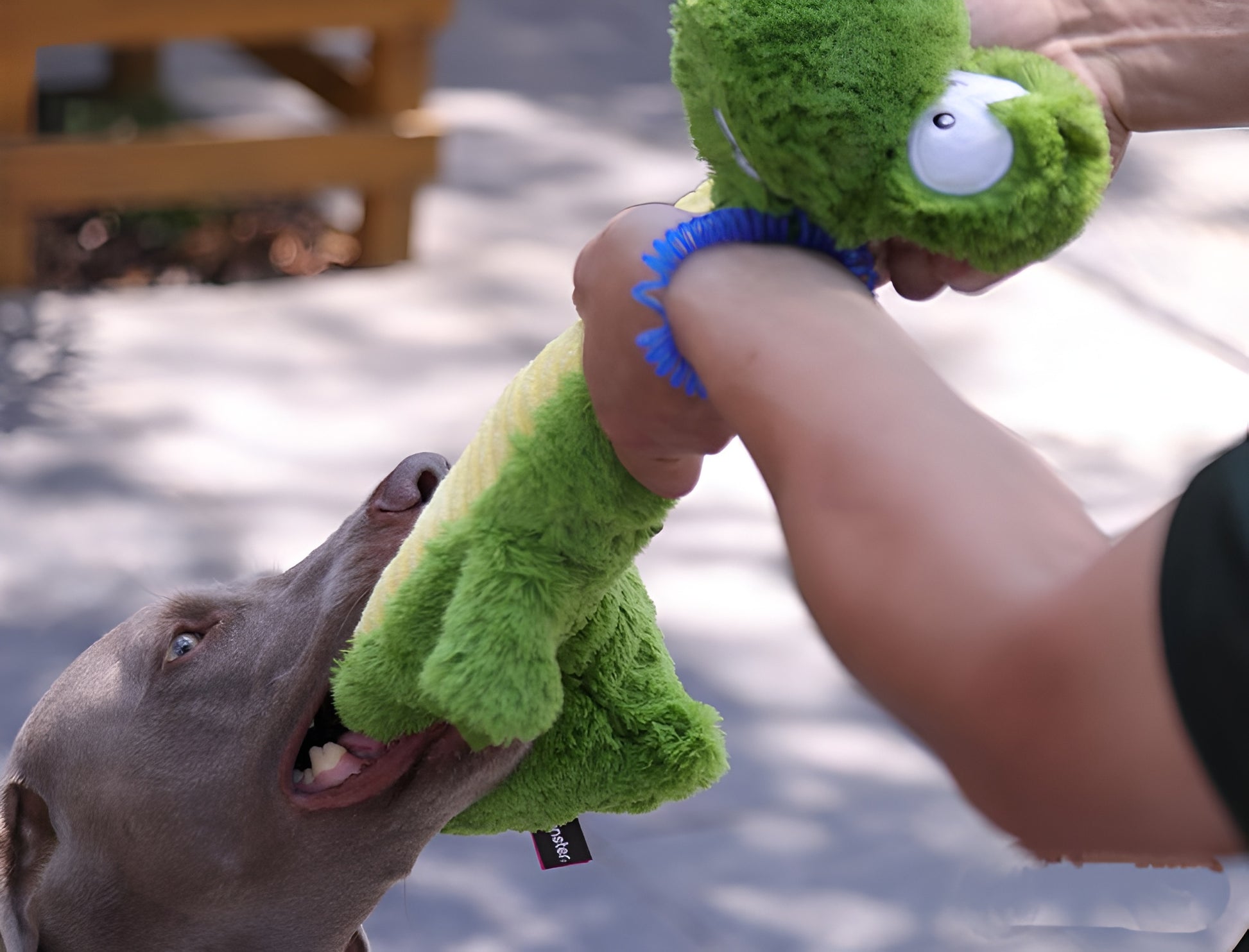 Green Dinosaur Plush Dog Toy – Squeaky, Cuddly & Playful Fun!