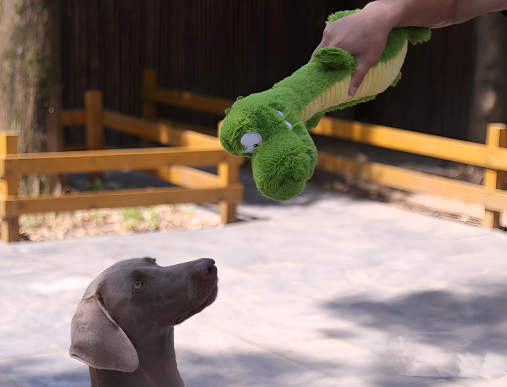 Green Dinosaur Plush Dog Toy – Squeaky, Cuddly & Playful Fun!
