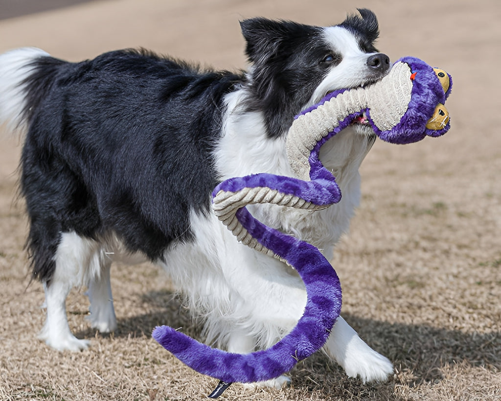 Snake Plush Dog Toy – Stretch, Squeak & Play