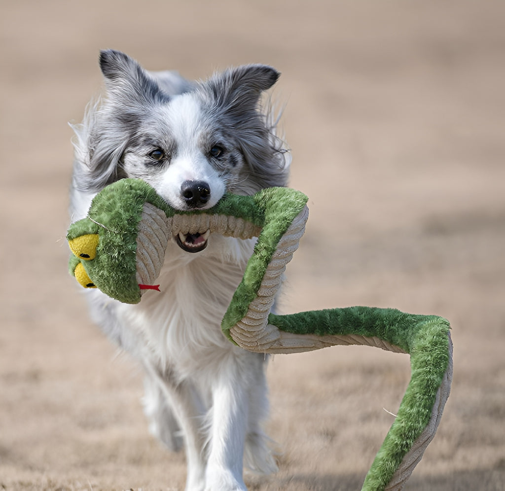 Snake Plush Dog Toy – Stretch, Squeak & Play