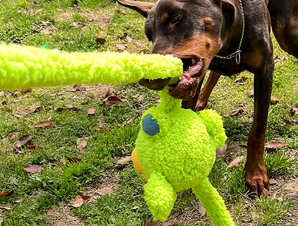 Bunny Plush Dog Toy – Extra-Long, Squeaky & Fun - Monster Collection