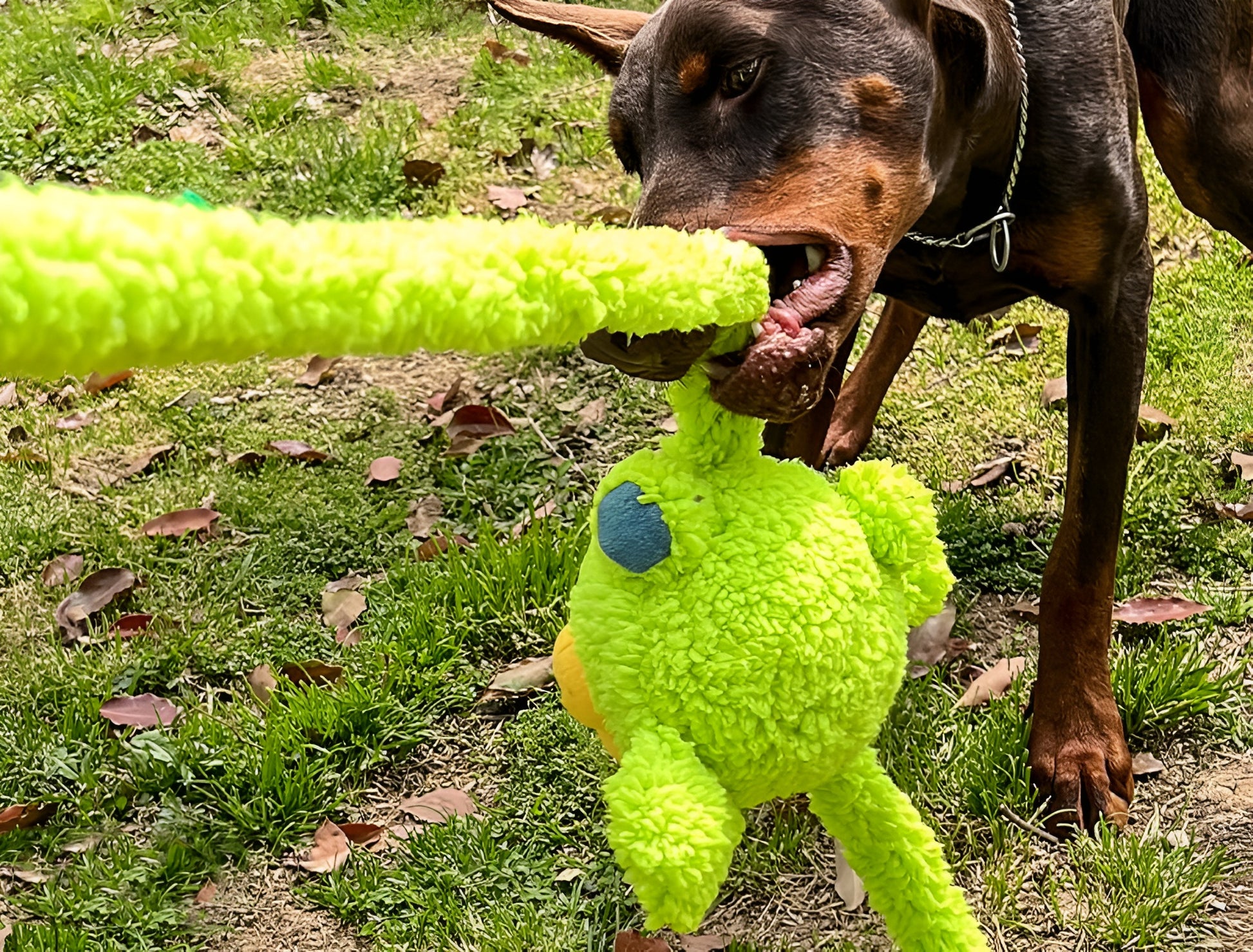 Bunny Plush Dog Toy – Extra-Long, Squeaky & Fun - Monster Collection