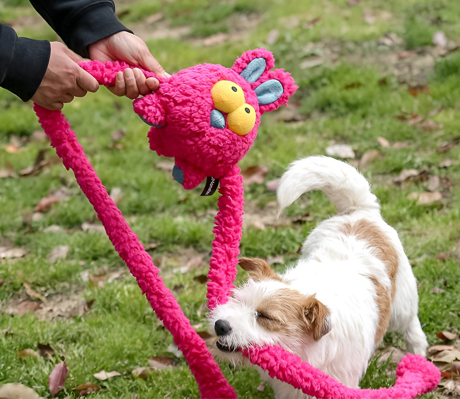 Bunny Plush Dog Toy – Extra-Long, Squeaky & Fun - Monster Collection