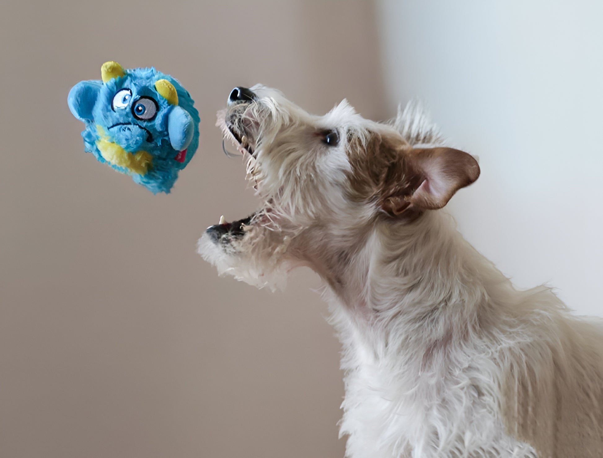 Plush Monster Dog Toy – Soft, Colorful & Durable Playmate