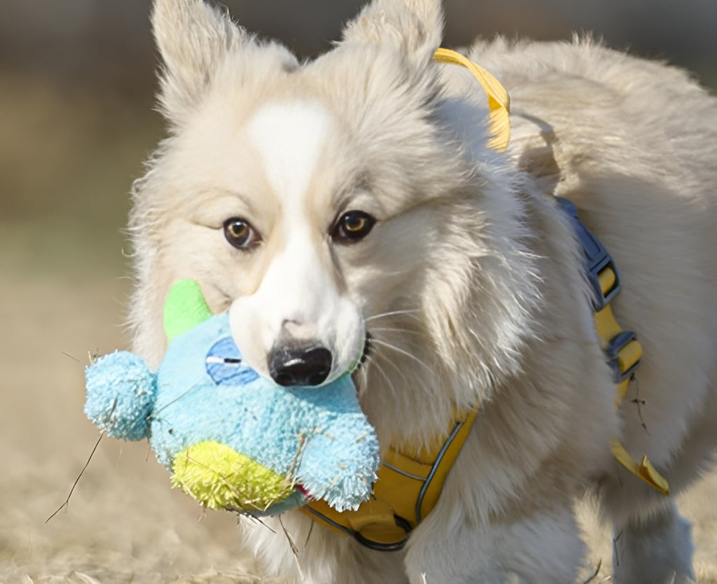 Plush Monster Dog Toy – Soft, Colorful & Durable Playmate