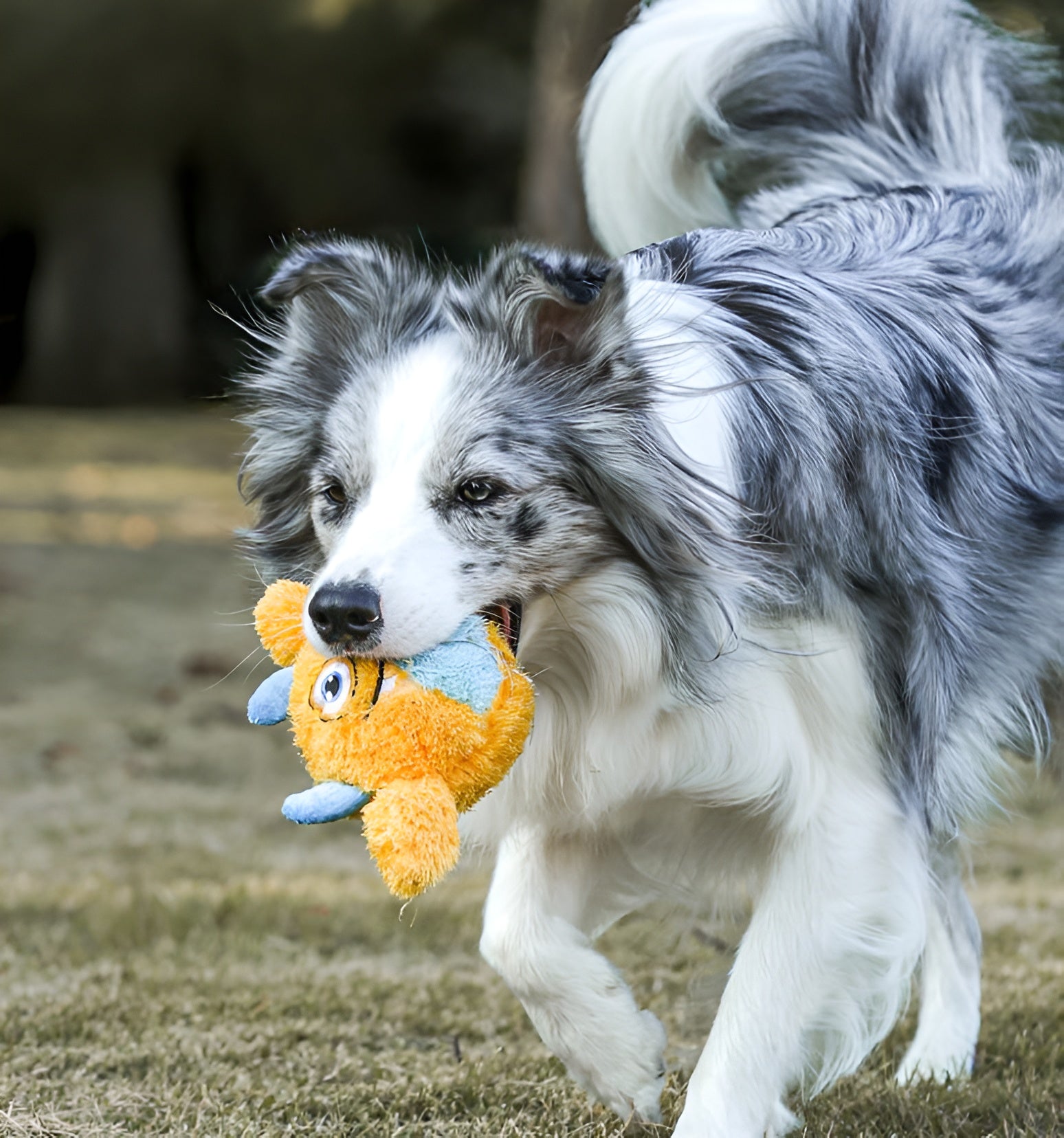 Plush Monster Dog Toy – Soft, Colorful & Durable Playmate