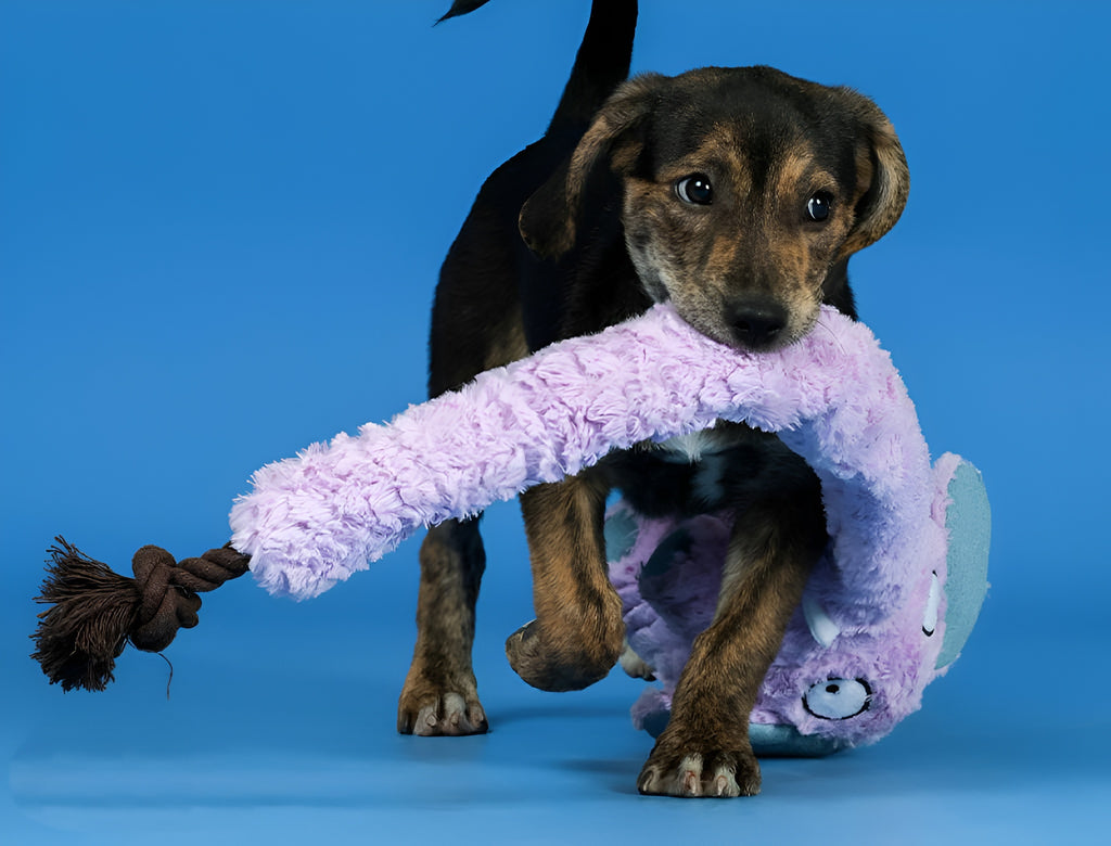 Long-Nosed Elephant Dog Toy – Interactive Plush with Treat Stash & Squeak