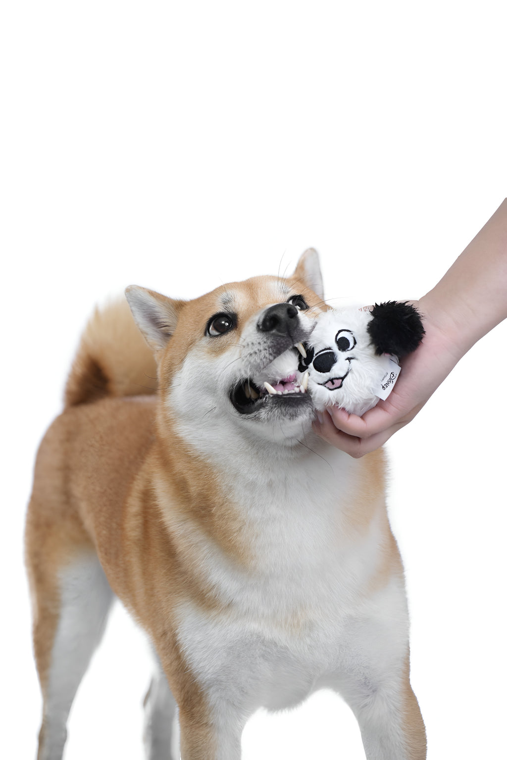 Smiley Puppy Ball Toy