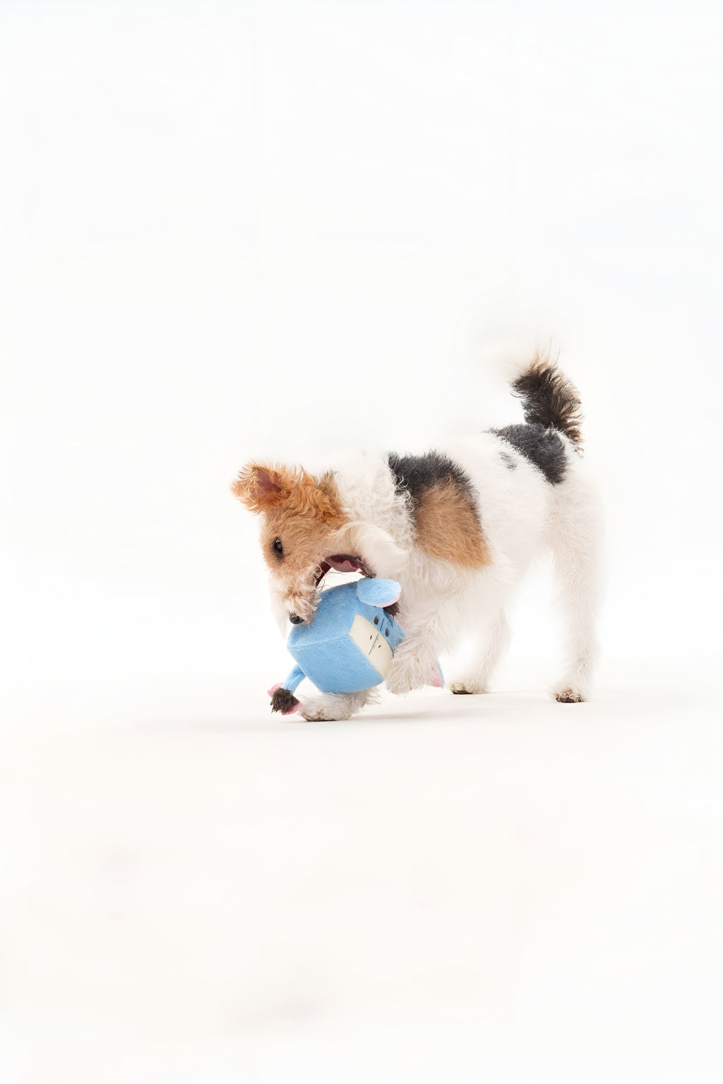 💙 Eeyore Cube Plush Toy – Crinkly, Cuddly & Calm Companion! 🐾