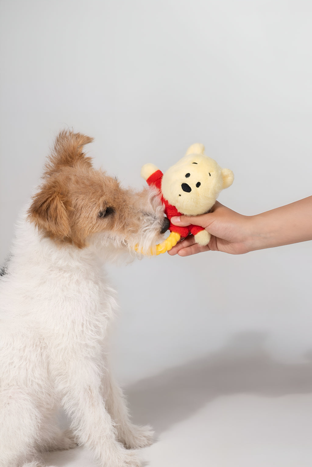 Winnie the Pooh Dog Tug Toy – Plush Chew Ring | Cute Squeaky Pull Toy for Dogs