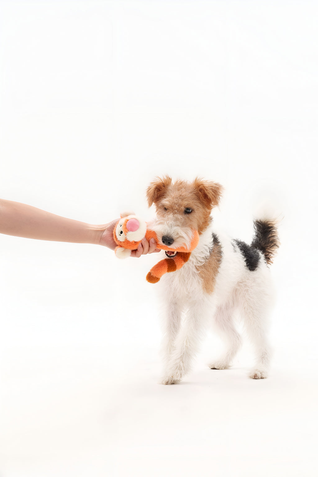 Tigger Squeaky Plush - Cute Squeaky Toy for Dogs