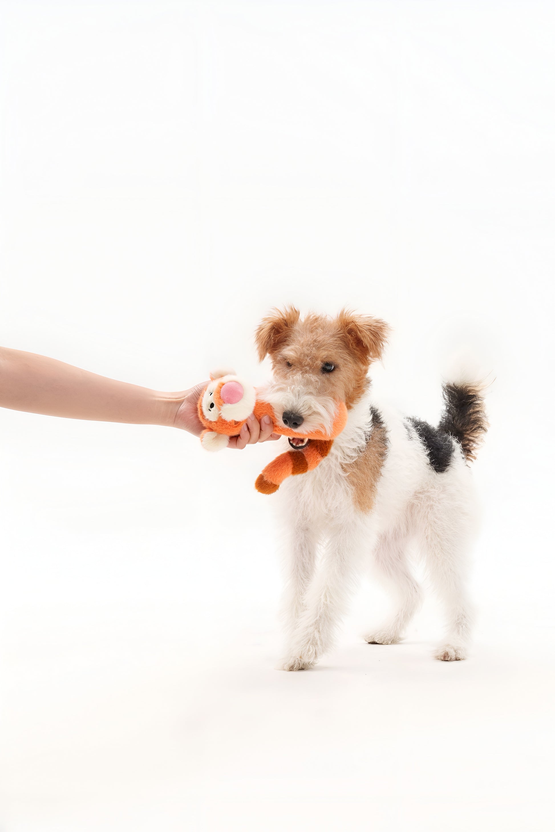 Tigger Squeaky Plush - Cute Squeaky Toy for Dogs