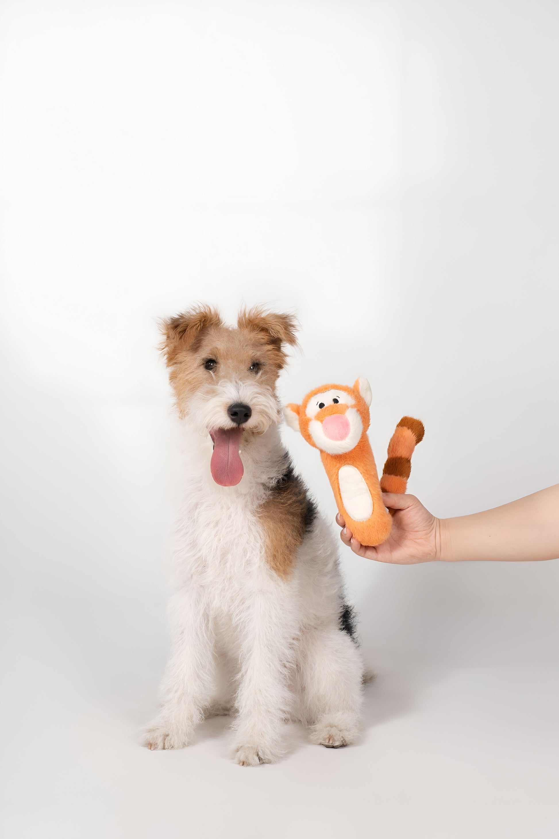 Tigger Squeaky Plush - Cute Squeaky Toy for Dogs