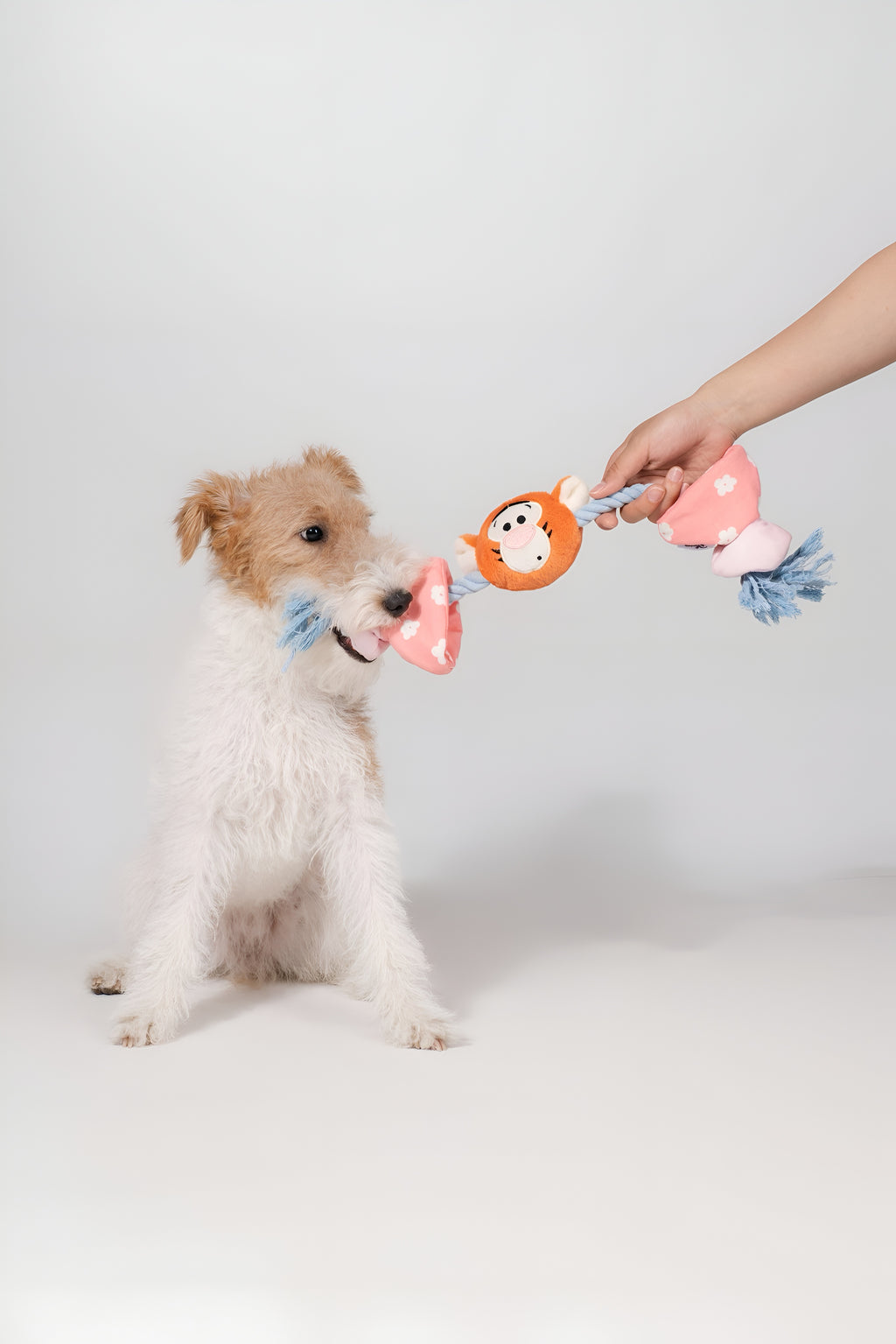 Tigger Candy Rope Toy – Bounce, Tug & Train with Style