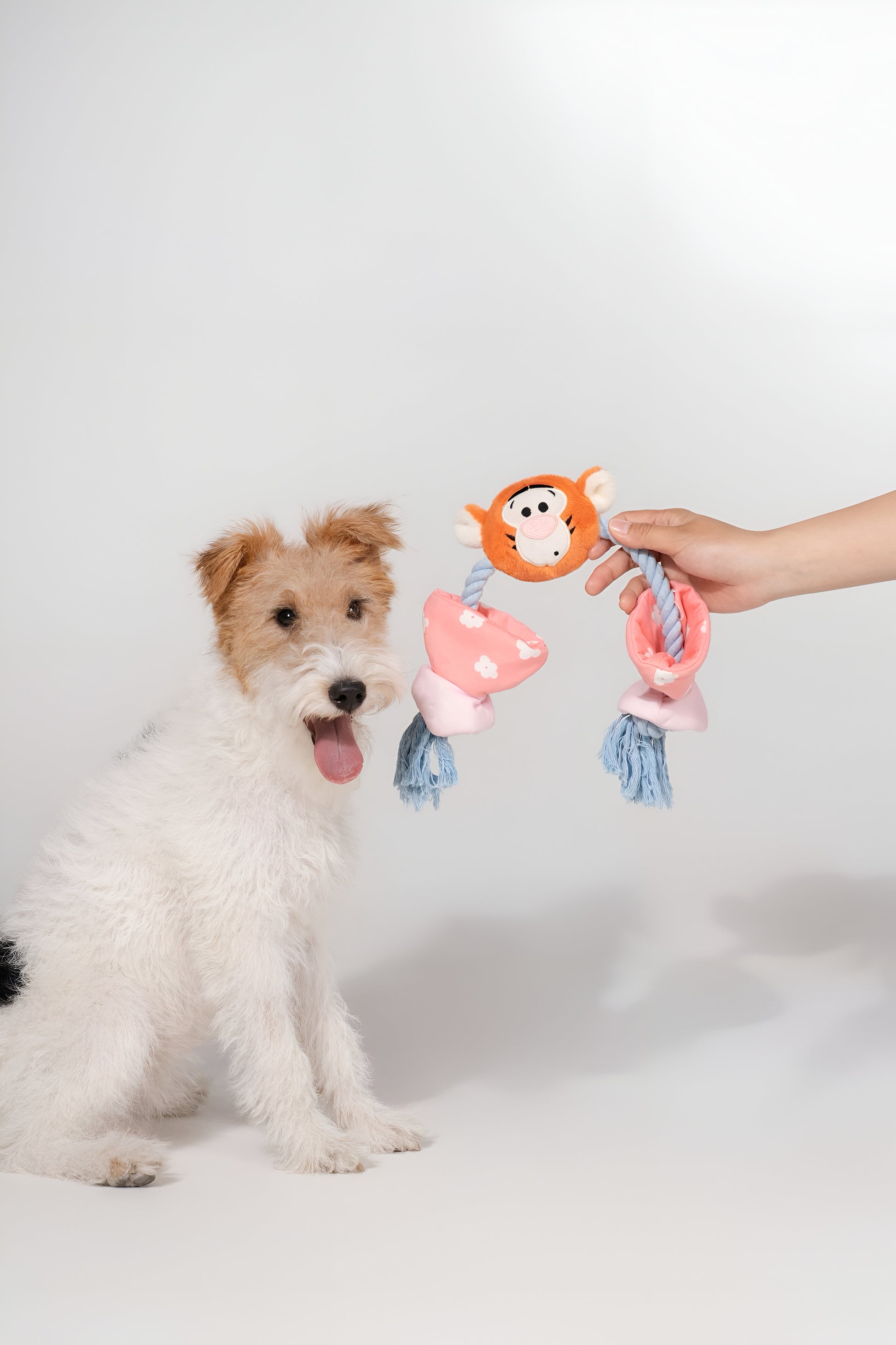 Tigger Candy Rope Toy – Bounce, Tug & Train with Style