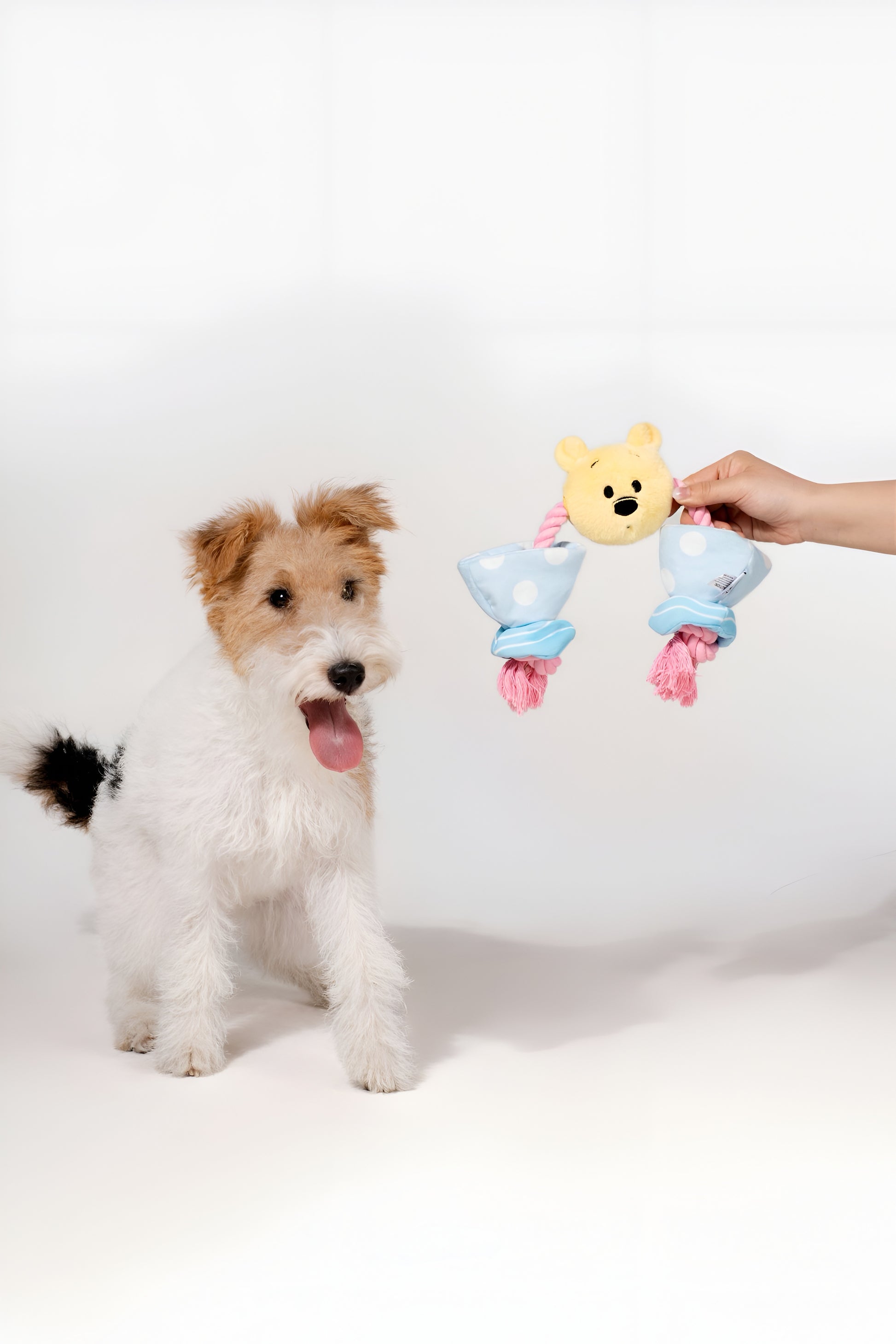 Winnie the Pooh Candy Rope Toy – Tug & Train with Style