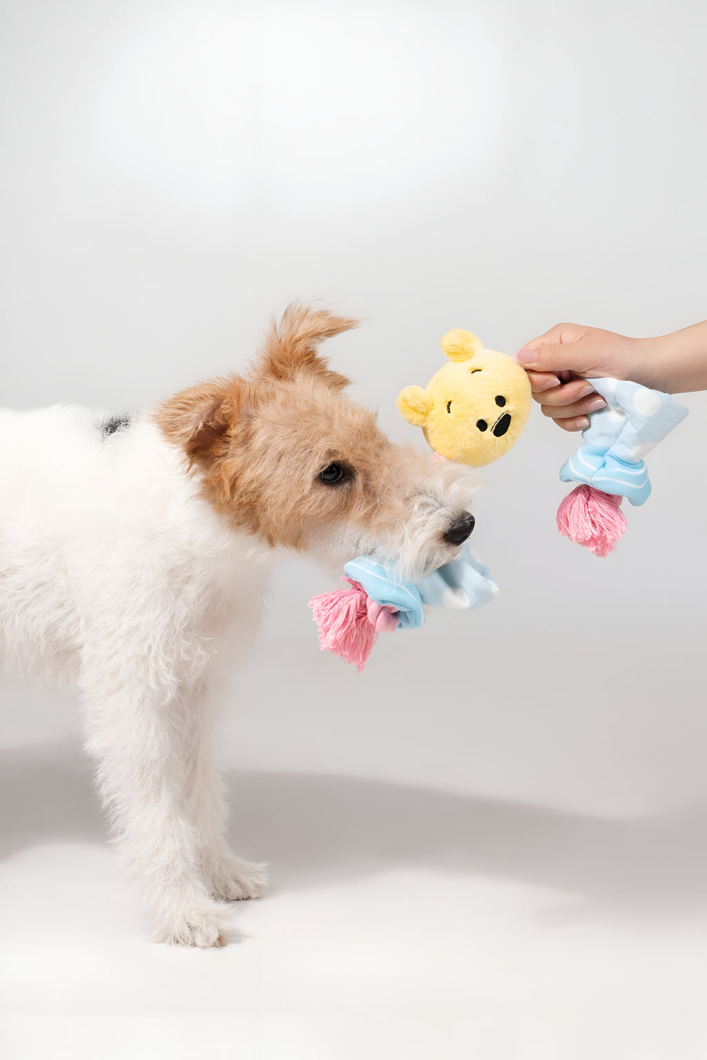 Winnie the Pooh Candy Rope Toy – Tug & Train with Style