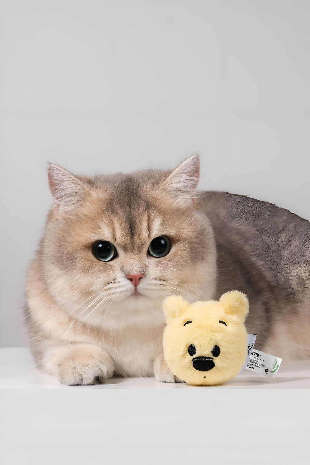 Winnie the Pooh Cat Bell Ball – Official Disney Interactive Toy