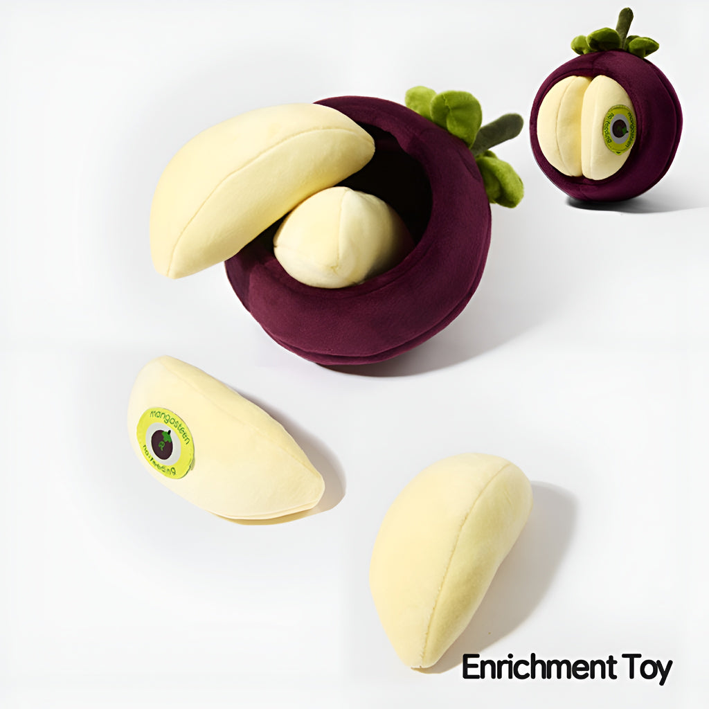 Mangosteen Enrichment Toy.
