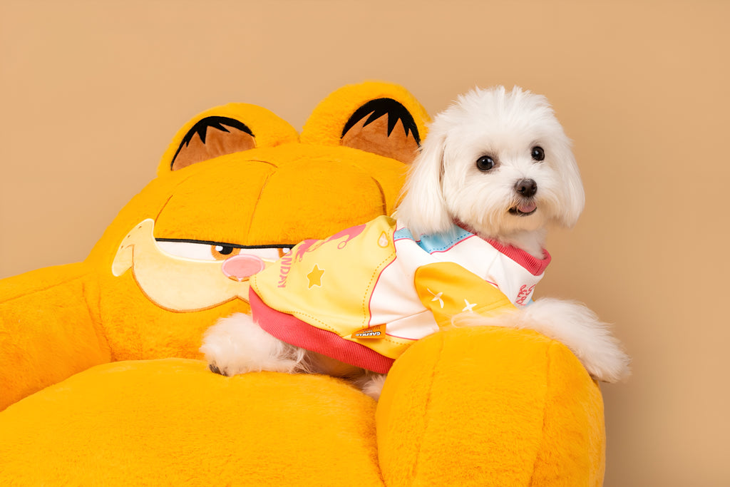 Garfield “Anti Monday” Dog Shirt.