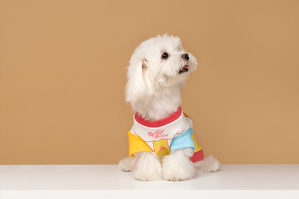 Garfield “Anti Monday” Dog Shirt.