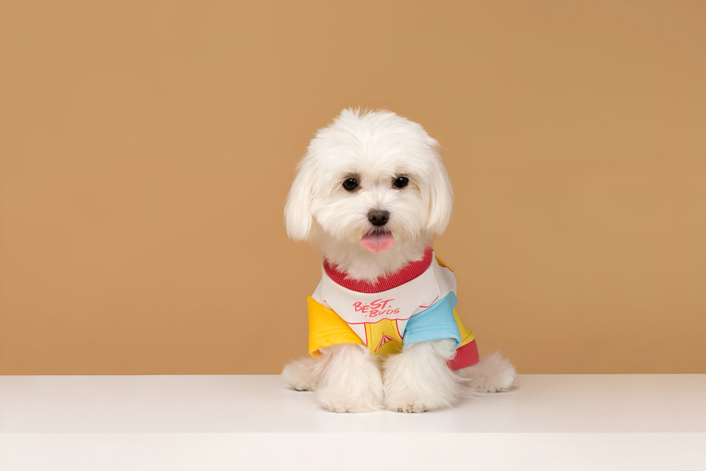 Garfield “Anti Monday” Dog Shirt.