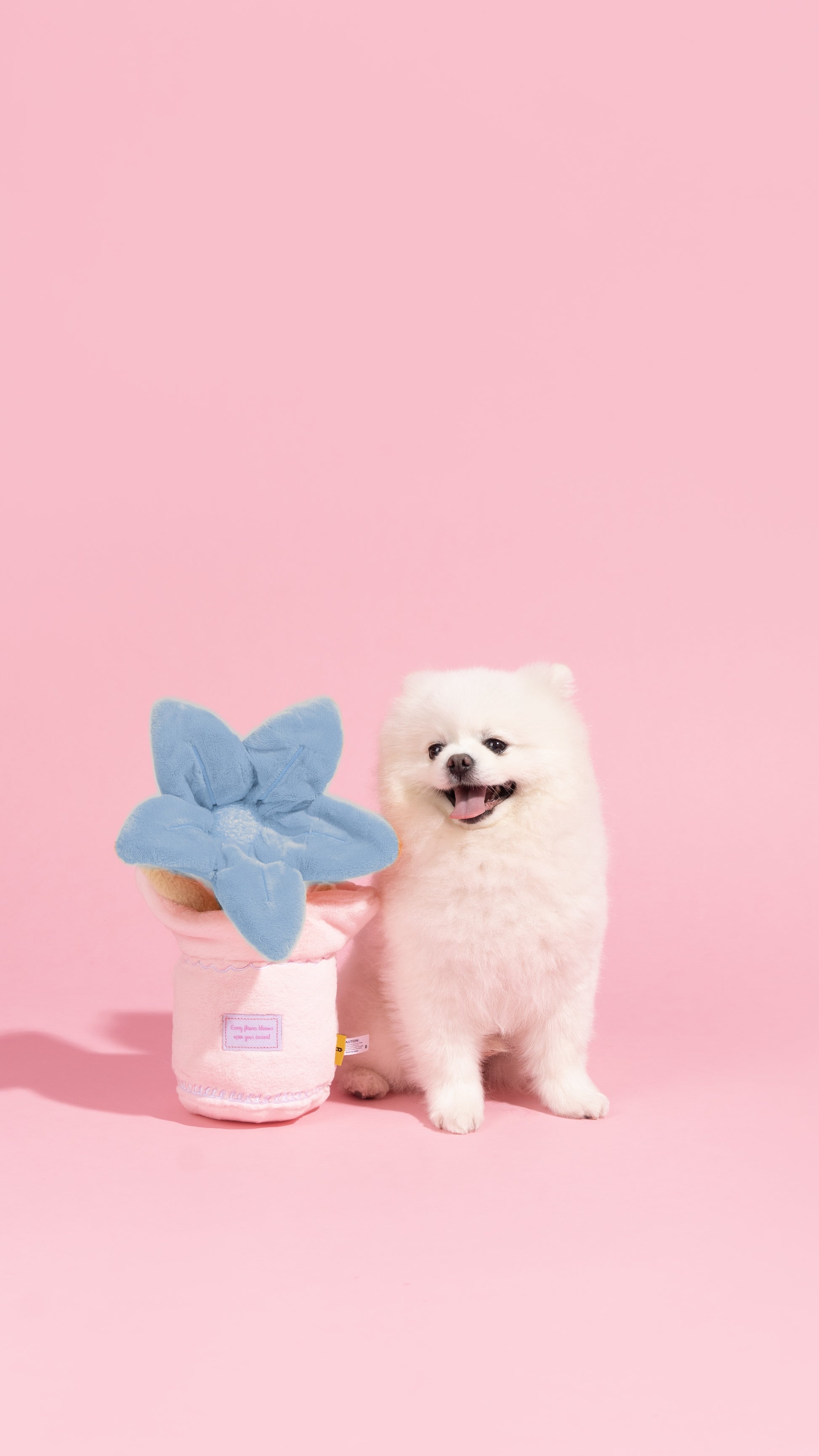 💙 Blue Flower Plush Dog Toy – All-Crinkle Fun for Playtime! 🐾