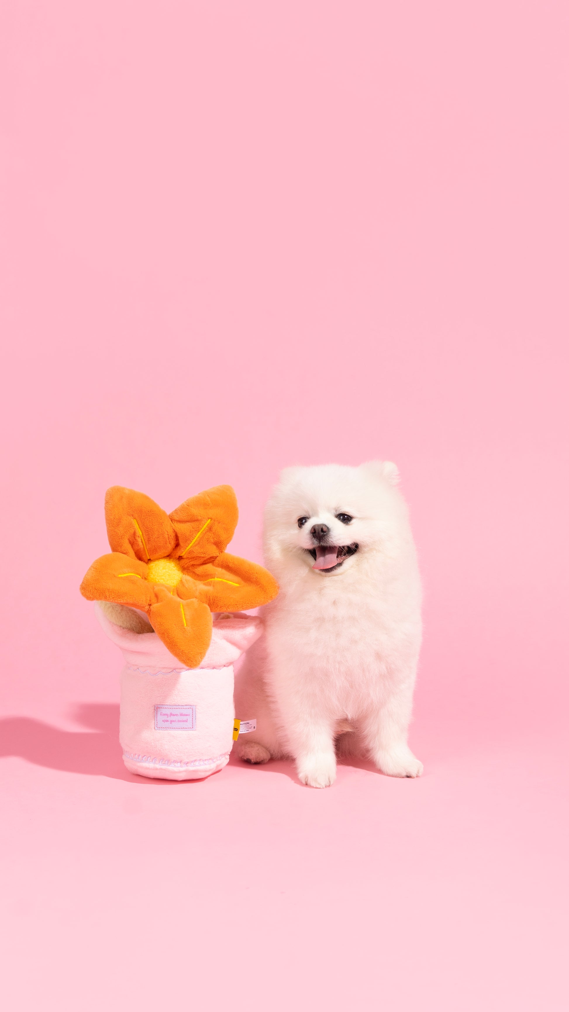 🌸 Dog Toy Flower Set – A Blooming Bundle of Joy! 🐾🌷