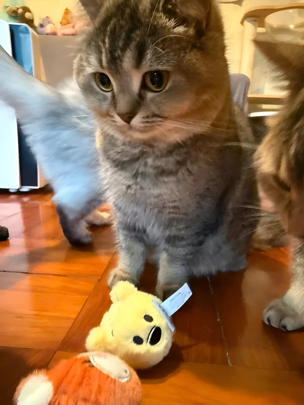 Winnie the Pooh Cat Bell Ball – Official Disney Interactive Toy