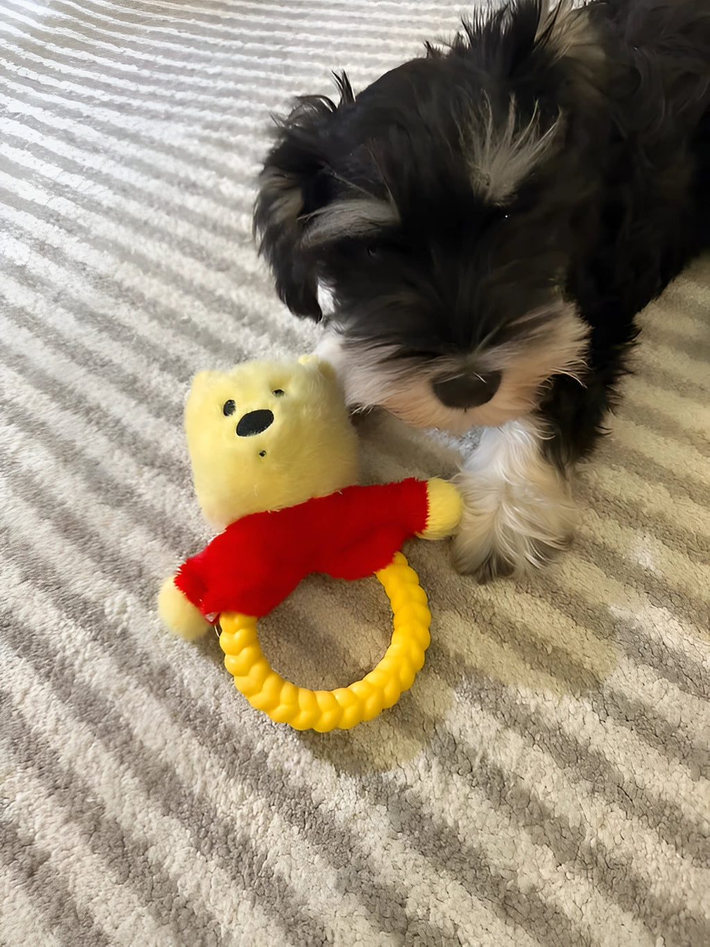 Winnie the Pooh Dog Tug Toy – Plush Chew Ring | Cute Squeaky Pull Toy for Dogs