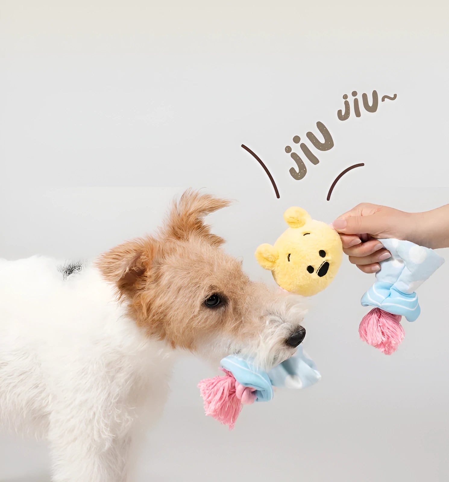 Winnie the Pooh Candy Rope Toy – Tug & Train with Style