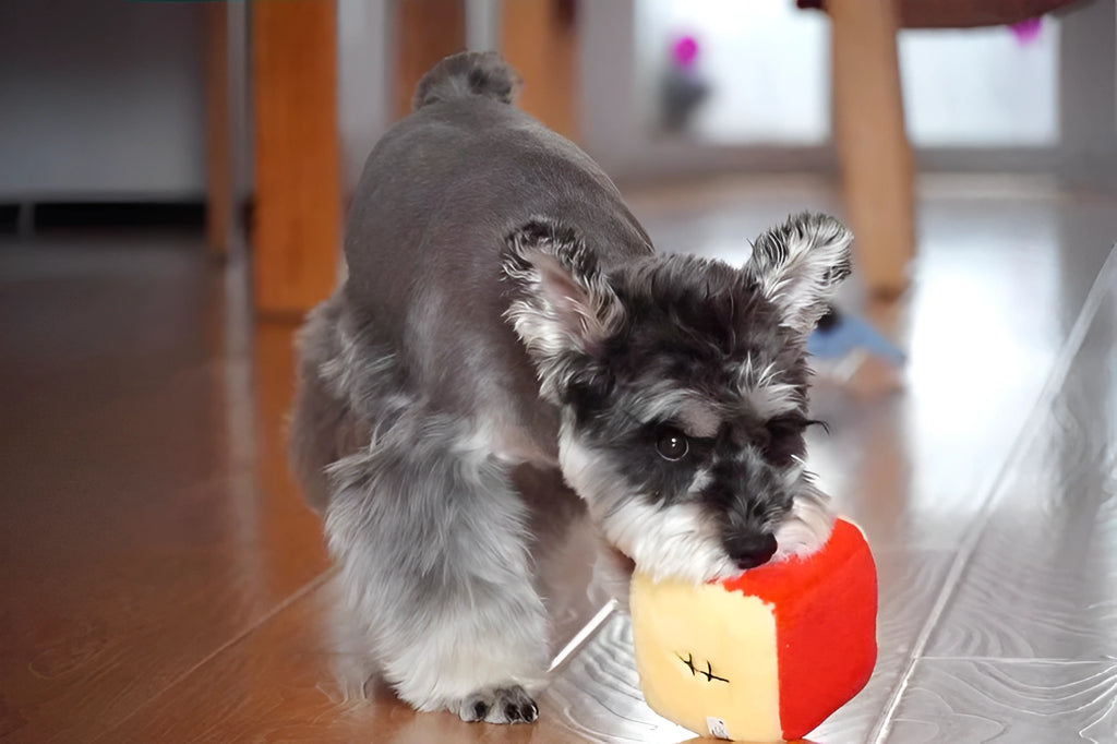 Winnie the Pooh Brick – Plush Dog Toy with Crinkle Paper