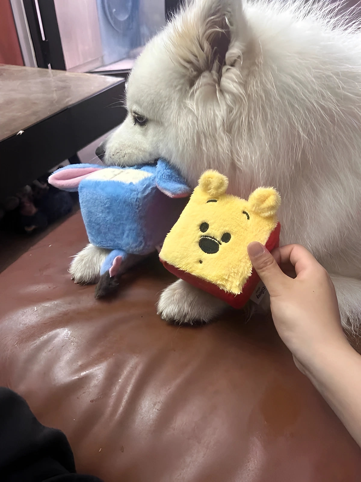 Winnie the Pooh Brick – Plush Dog Toy with Crinkle Paper