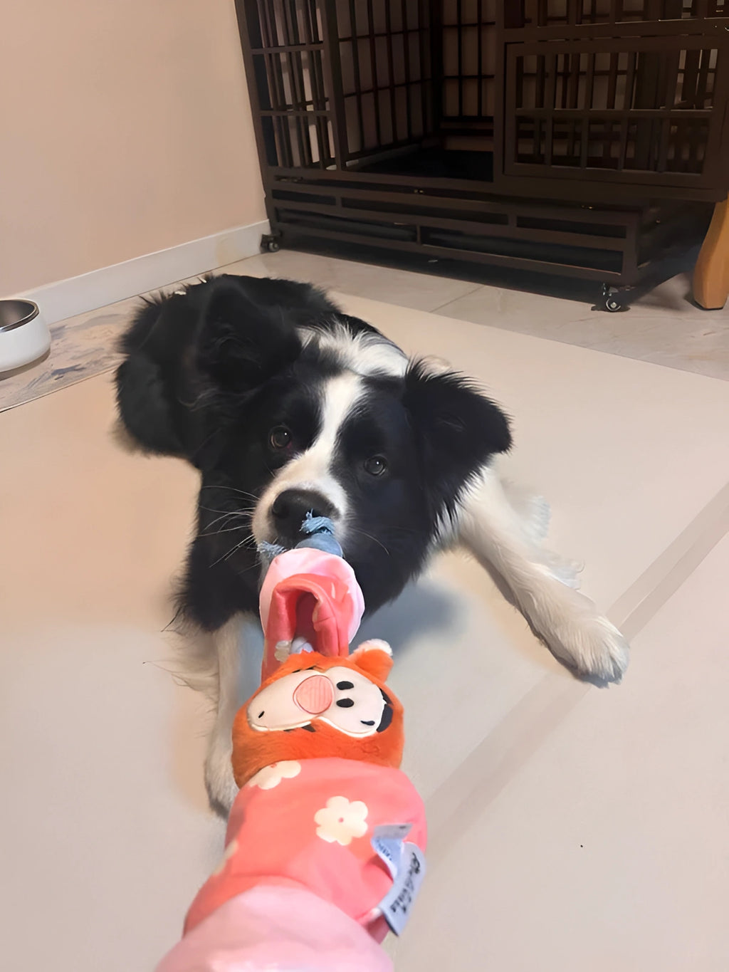 Tigger Candy Rope Toy – Bounce, Tug & Train with Style